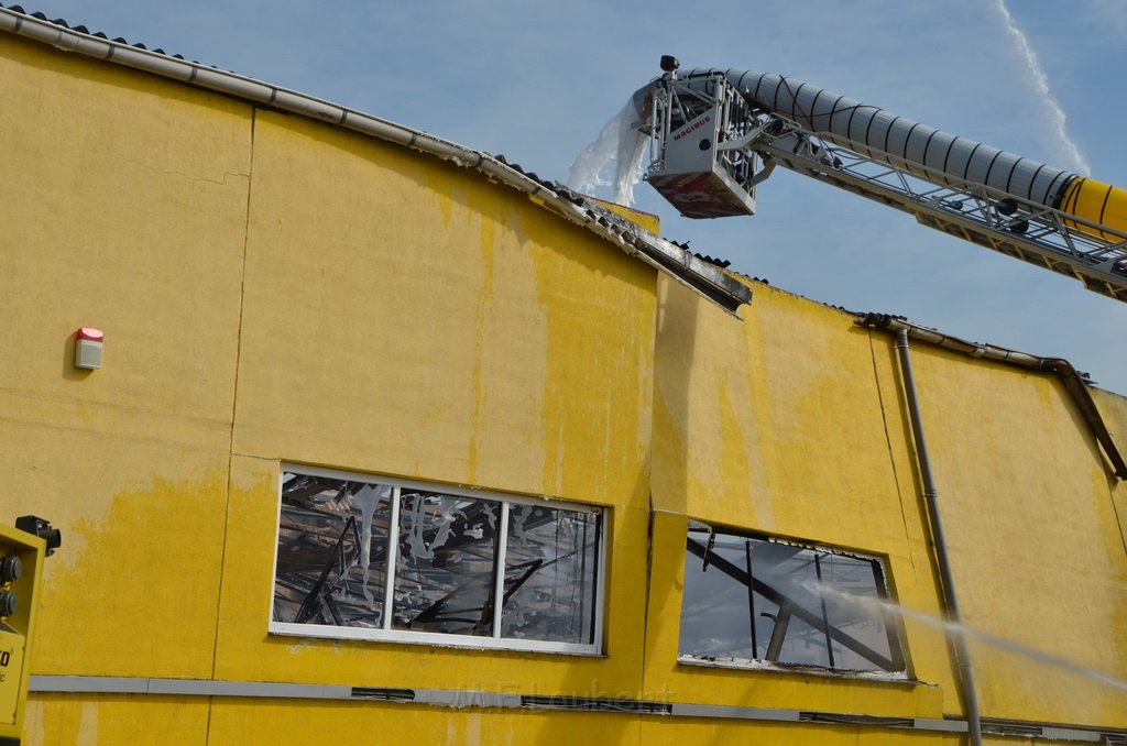 Grossfeuer Poco Lager Koeln Porz Gremberghoven Hansestr P768.jpg - Miklos Laubert